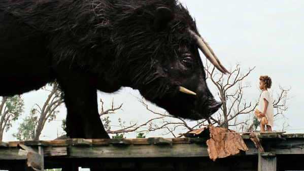 Beasts of southern wild